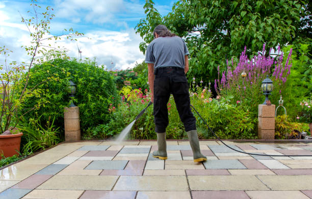 Best Patio and Deck Pressure Washing  in Cambridge, MD
